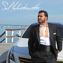 Sal Valentinetti's artist profile image