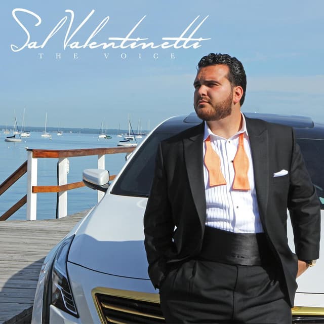 Sal Valentinetti's artist profile image