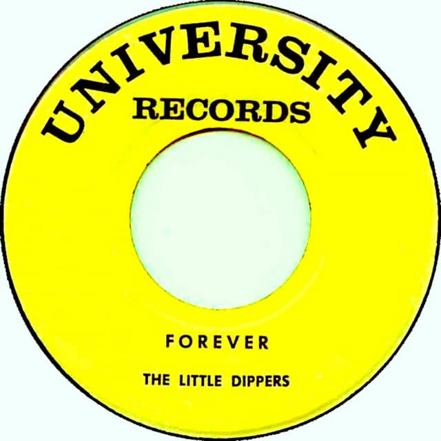 The Little Dippers artist profile image