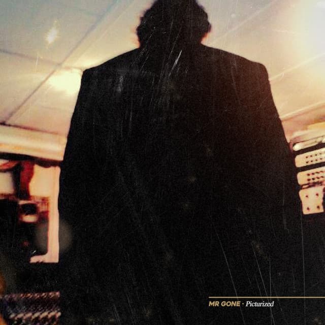 Mr Gone profile