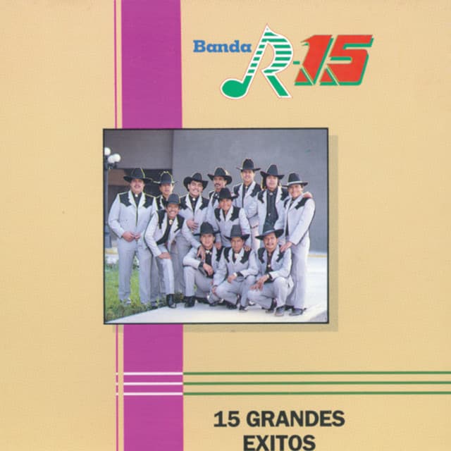 Banda R-15 artist profile image