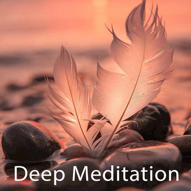 Spa Music & Meditation Collective artist profile image