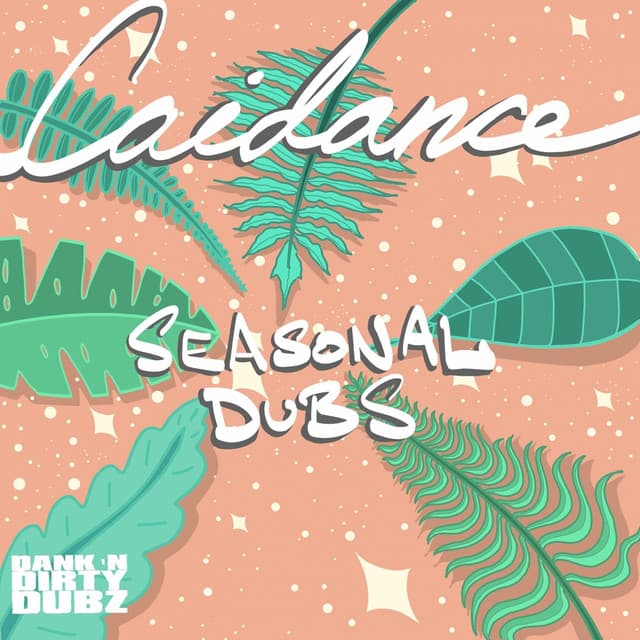 Caidance artist profile image
