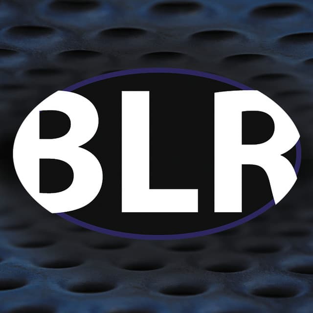 Bobby Lee Rodgers's artist profile image