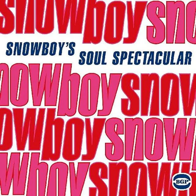 Snowboy artist profile image