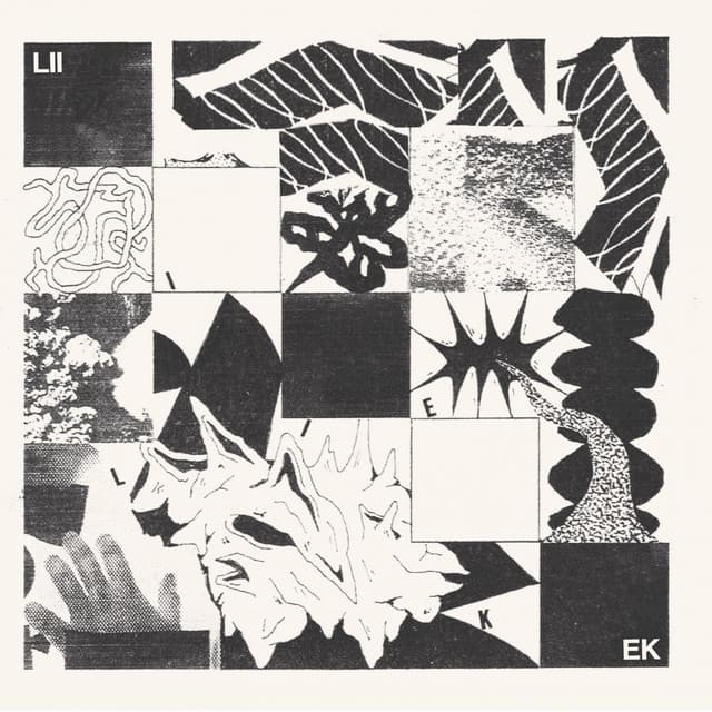 LIIEK artist profile image