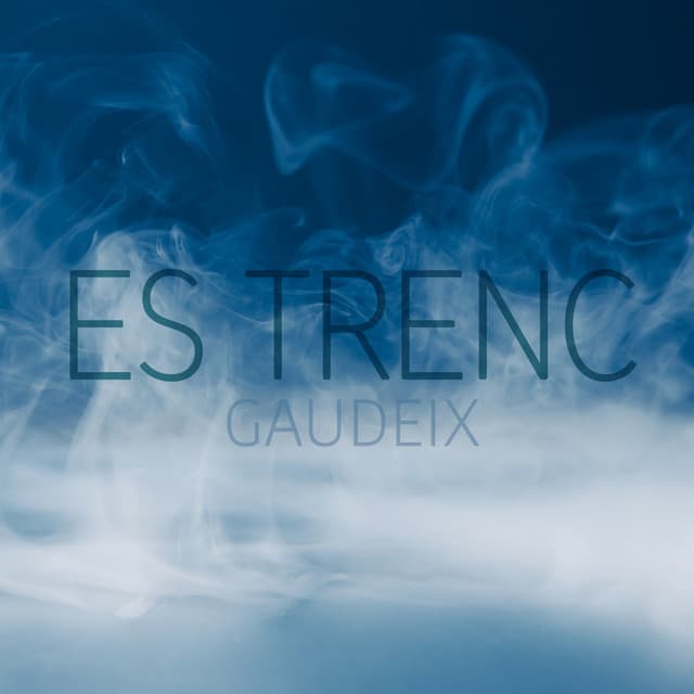Gaudeix artist profile image