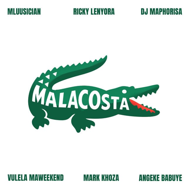 Mluusician artist profile image