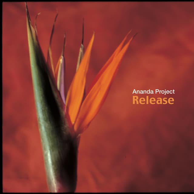 Ananda Project artist profile image