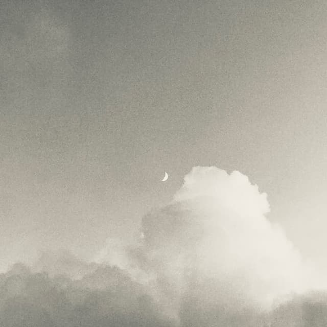 之凪 artist profile image