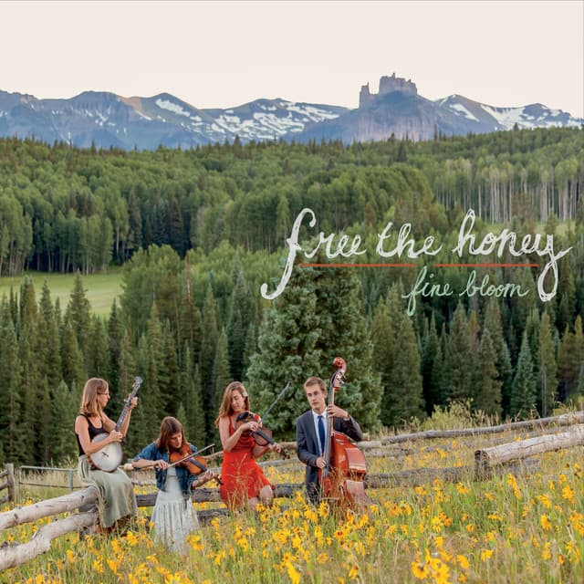 Free the Honey artist profile image