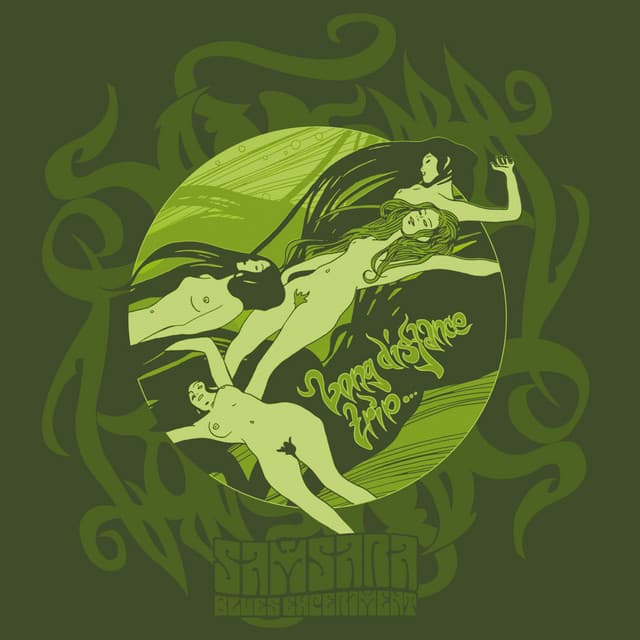 Samsara Blues Experiment artist profile image