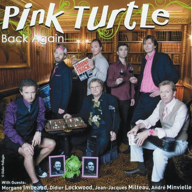 Pink Turtle artist profile image