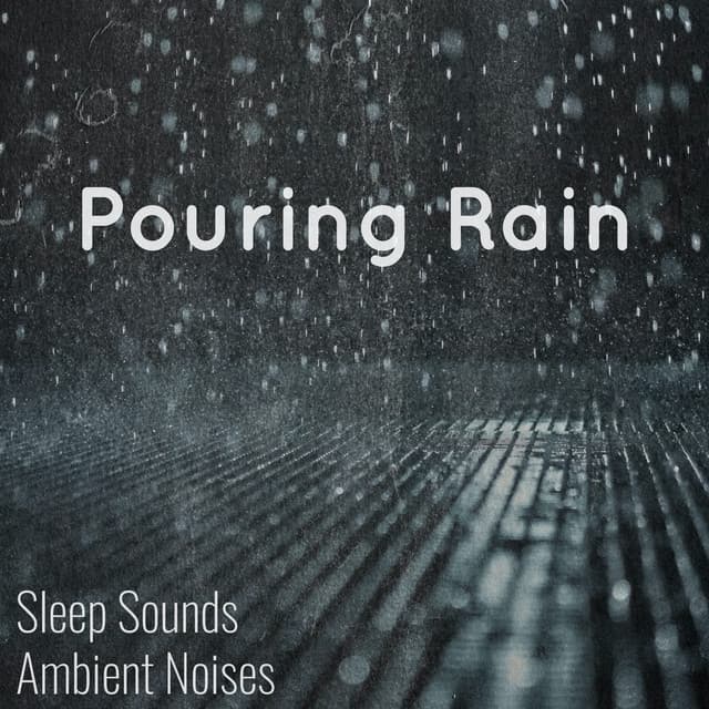 Sleep Sounds Ambient Noises artist profile image