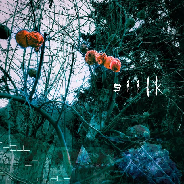 Siilk's artist profile image