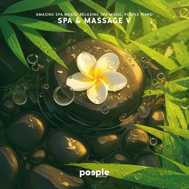 Relaxing Spa Music artist profile image