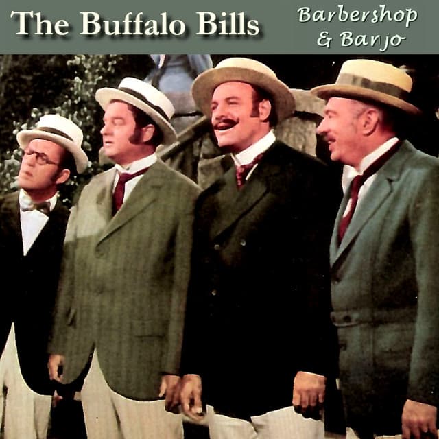 The Buffalo Bills artist profile image