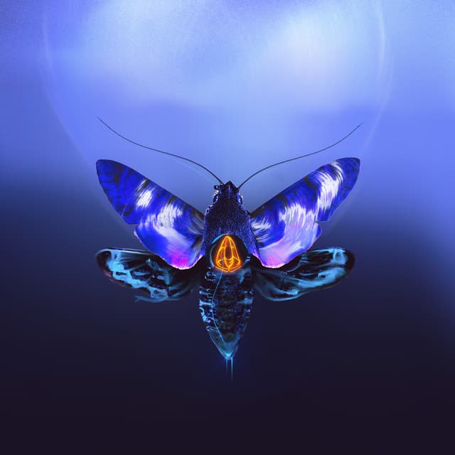 Acrona artist profile image