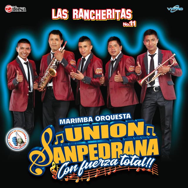Marimba Orquesta Union Sanpedrana artist profile image