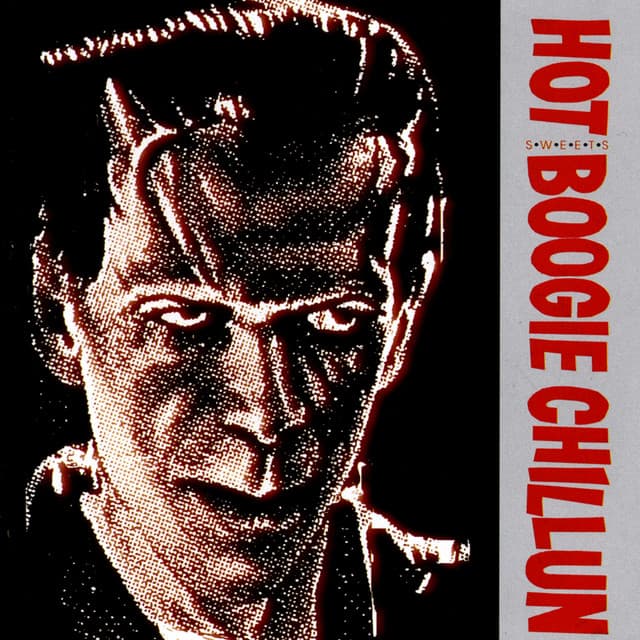 Hot Boogie Chillun artist profile image