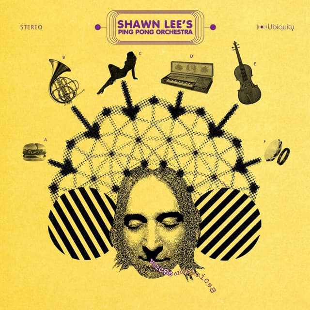 Shawn Lee's Ping Pong Orchestra artist profile image