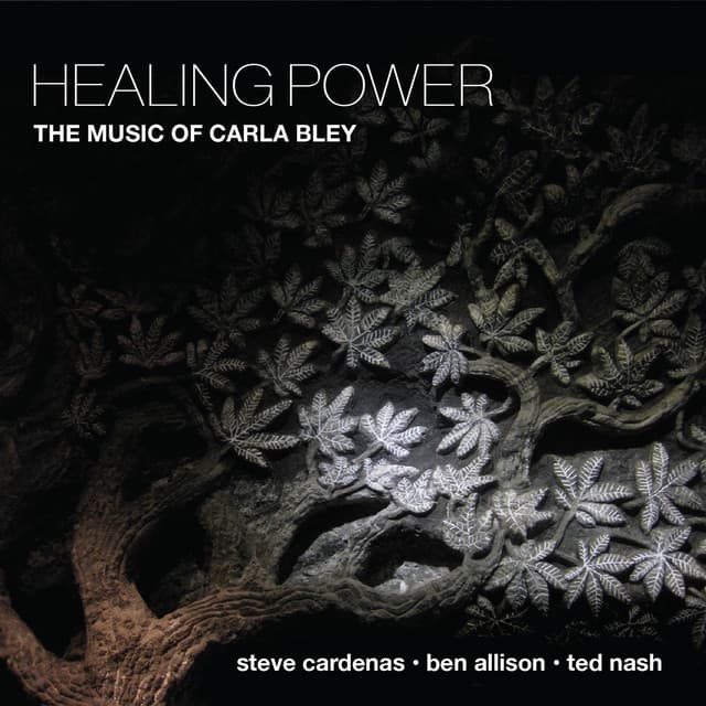 Steve Cardenas artist profile image