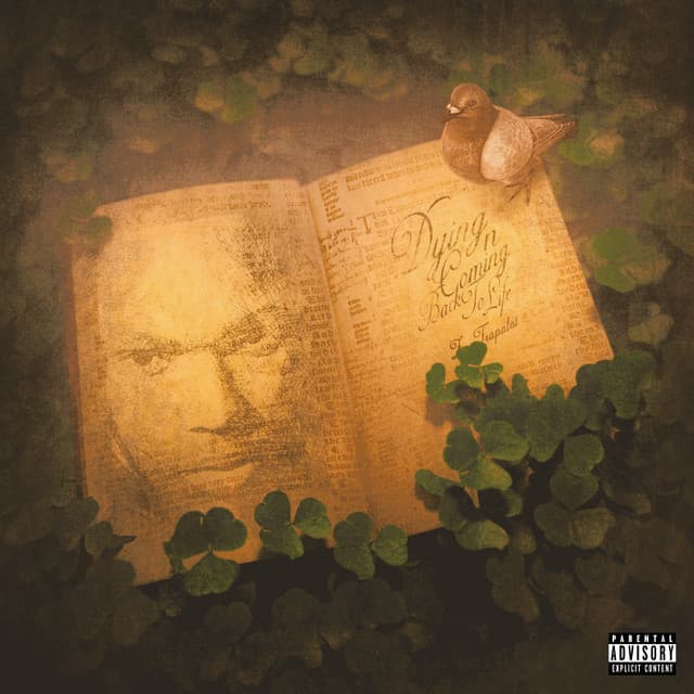 Zo Trapalot artist profile image