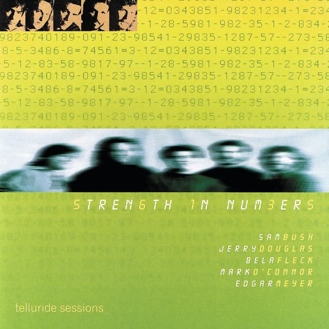 Strength In Numbers artist profile image