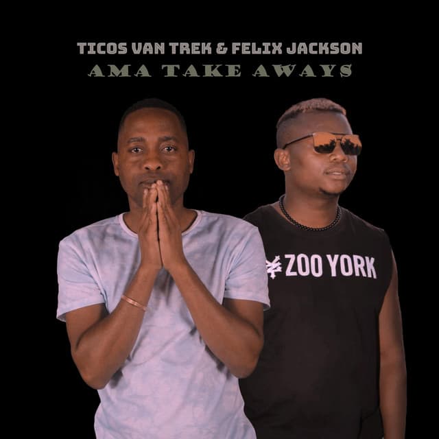 Ticos Van Trek artist profile image