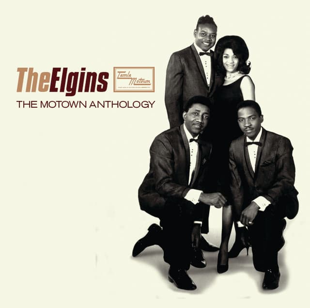 The Elgins artist profile image