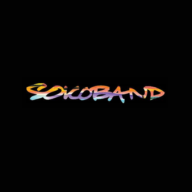 Sokoband artist profile image