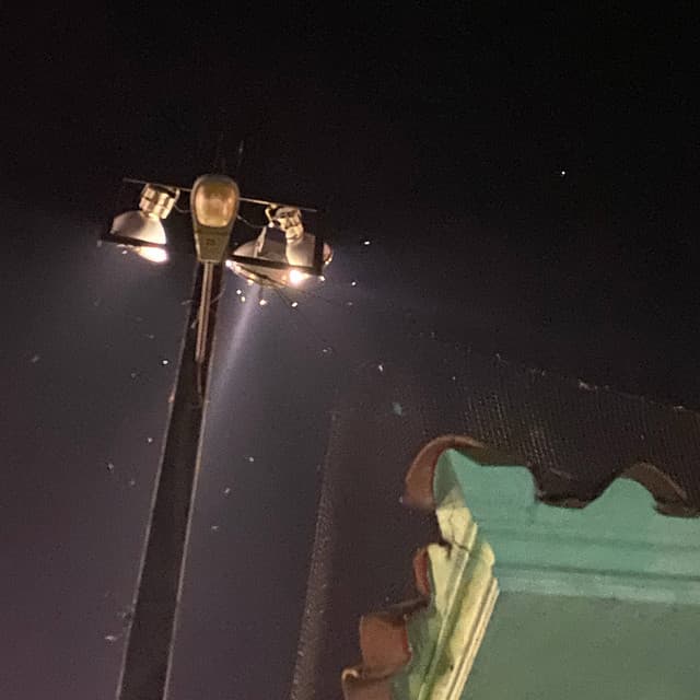 Estephanie's artist profile image