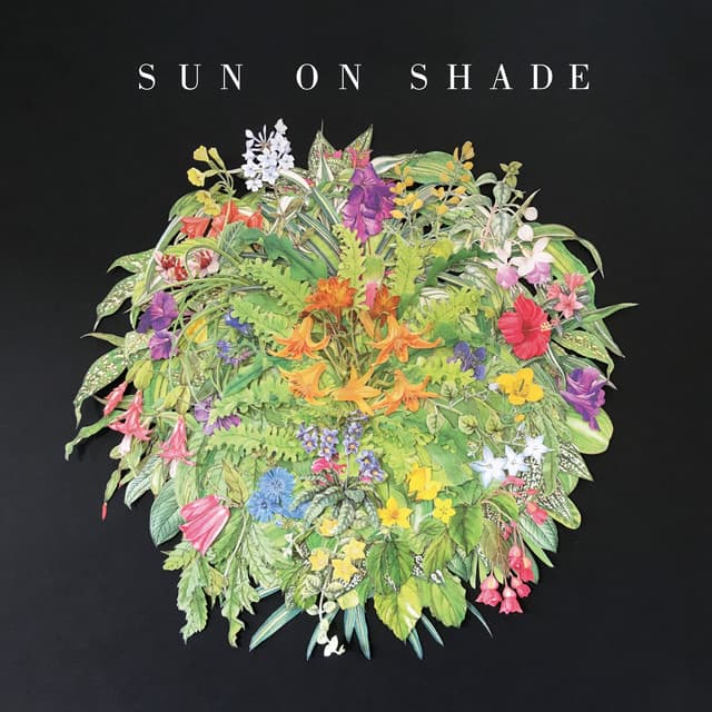 Sun On Shade artist profile image