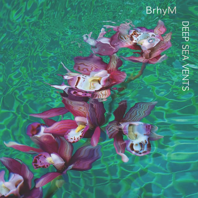 BrhyM artist profile image
