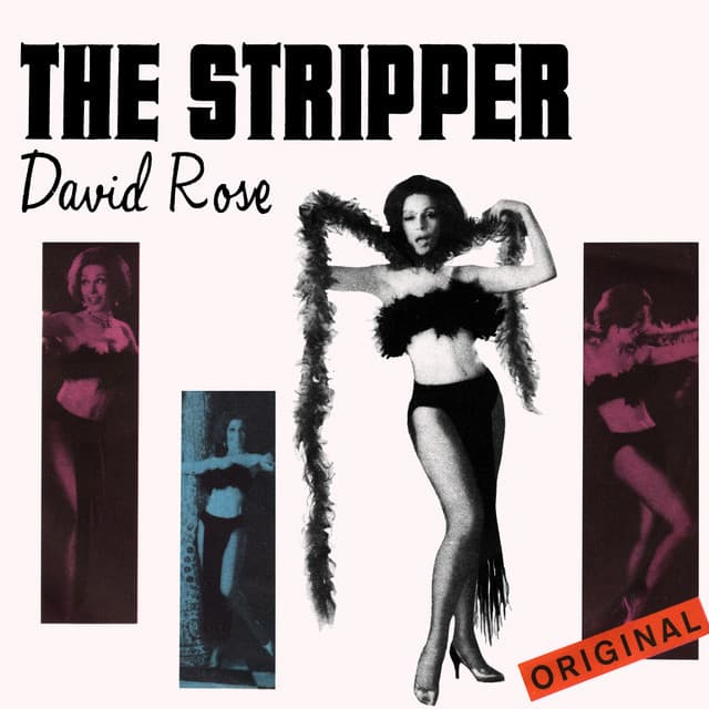 David Rose artist profile image