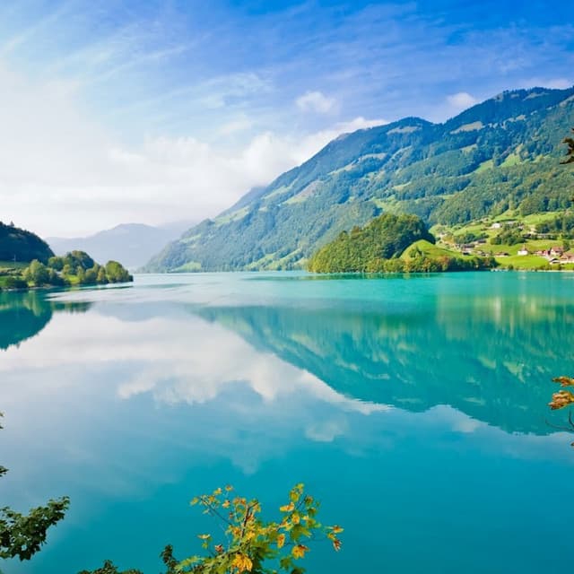 Wajid artist profile image