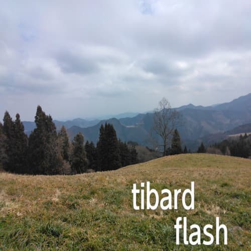 tibard artist profile image
