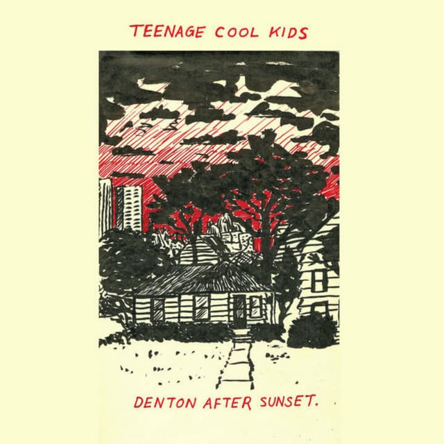 Teenage Cool Kids artist profile image