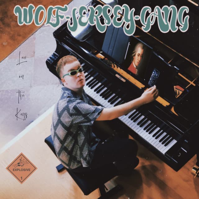 Levi Schechtmann artist profile image