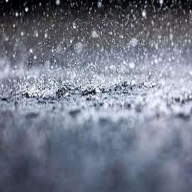 Rain All Night artist profile image