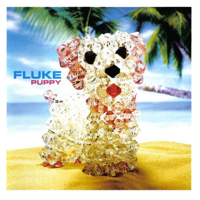 Fluke artist profile image