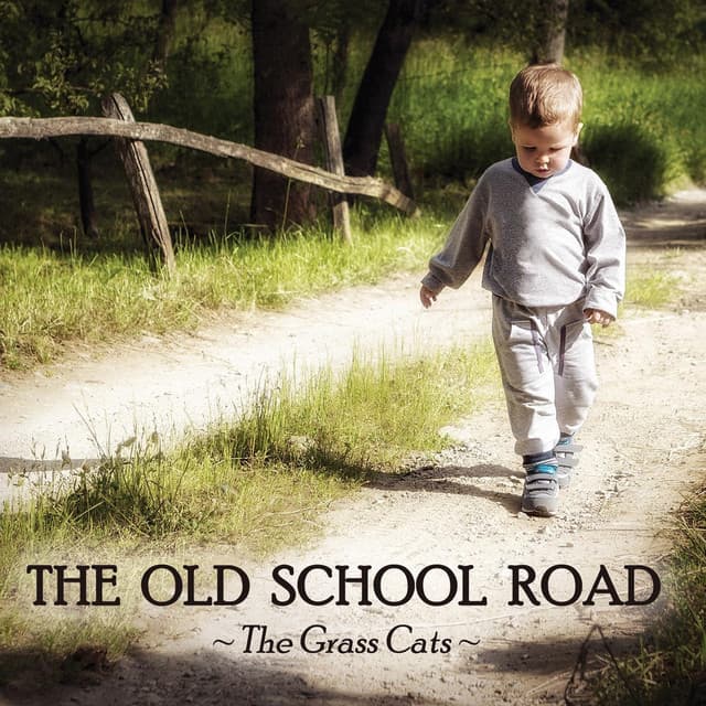The Grass Cats artist profile image