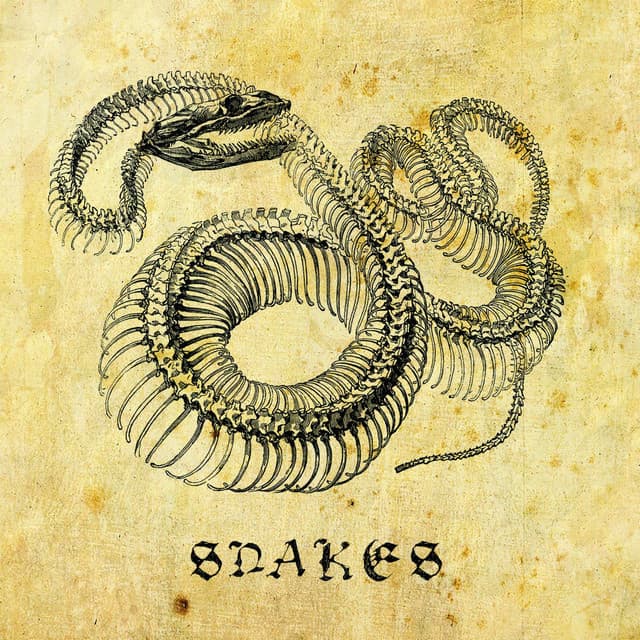 Snakes artist profile image