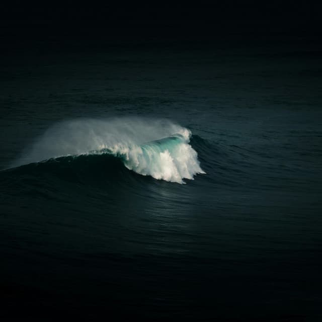 Aspen artist profile image