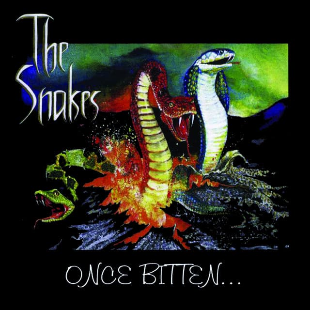 The Snakes artist profile image