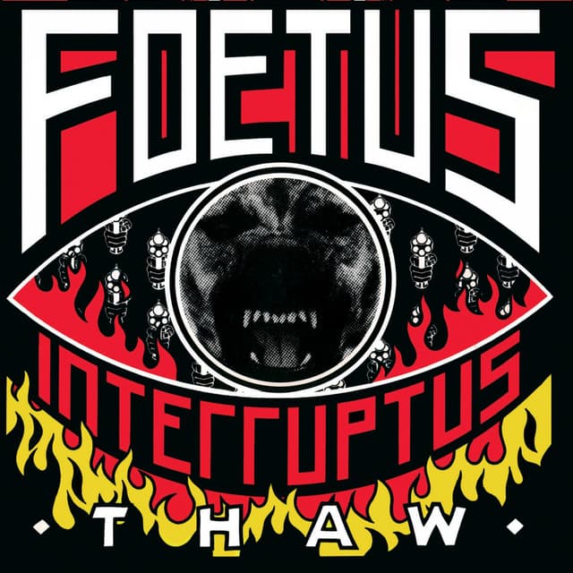 Foetus Interruptus artist profile image