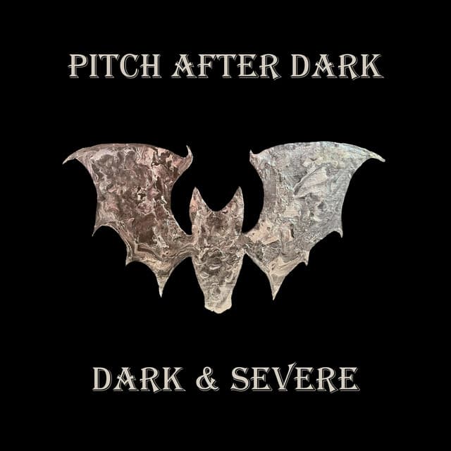 Pitch After Dark artist profile image