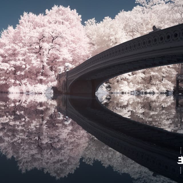 Liam Noble artist profile image