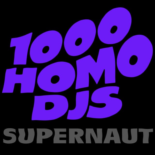 1000 Homo DJs artist profile image