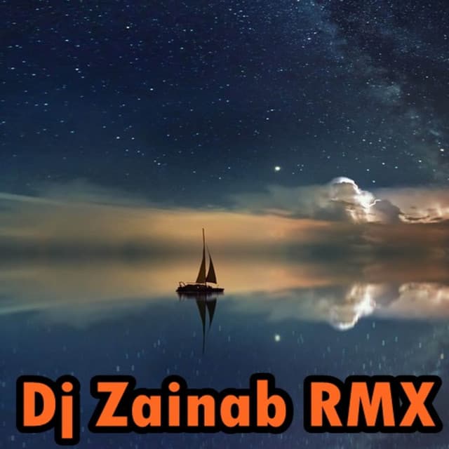 Dj Zainab RMX's artist profile image